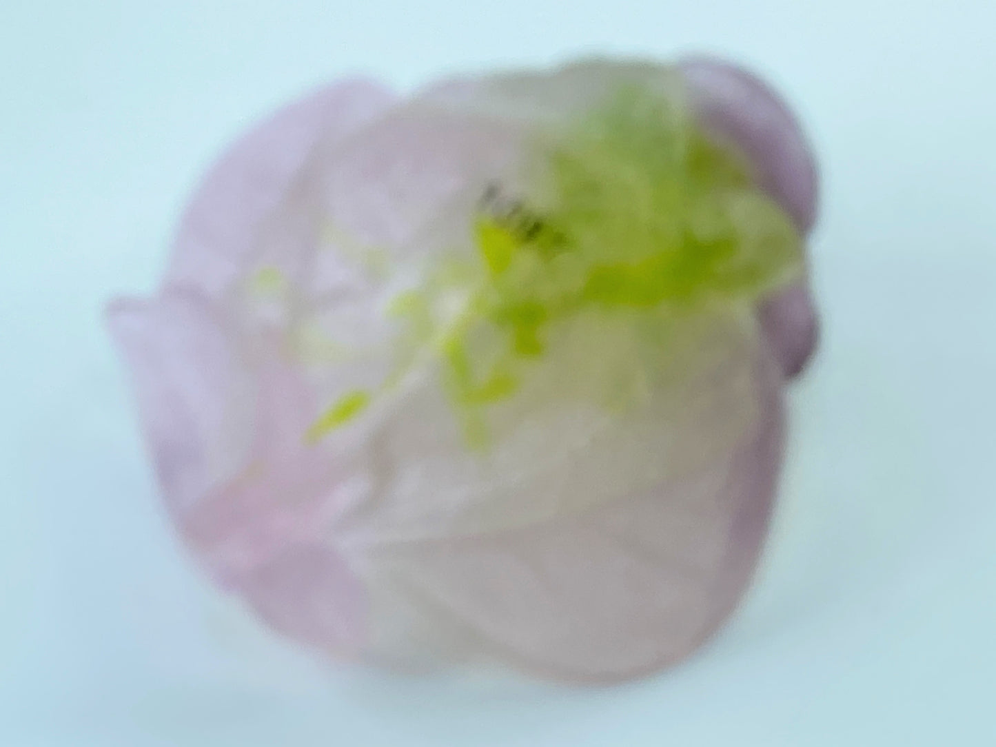DAUM Pate de Verre Rose Vide Poche Small Ornamental Bowl French Art Glass