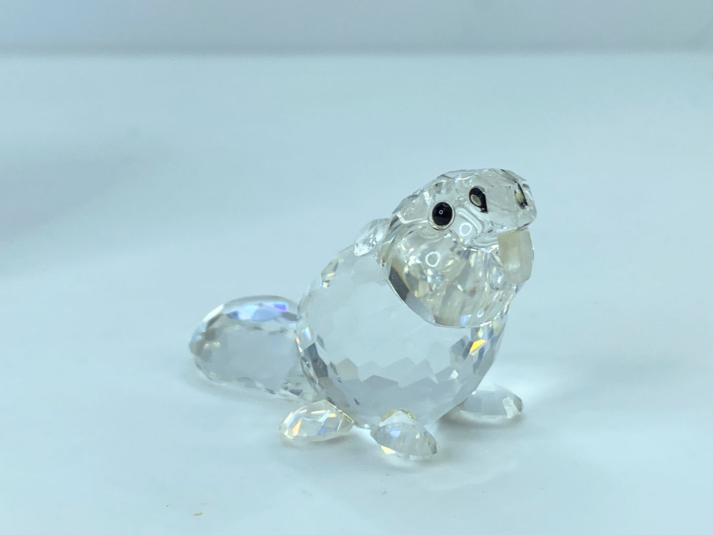 Swarovski Crystal Figurine Baby Beaver Sitting # 7616 Mint Mirror COA S110
