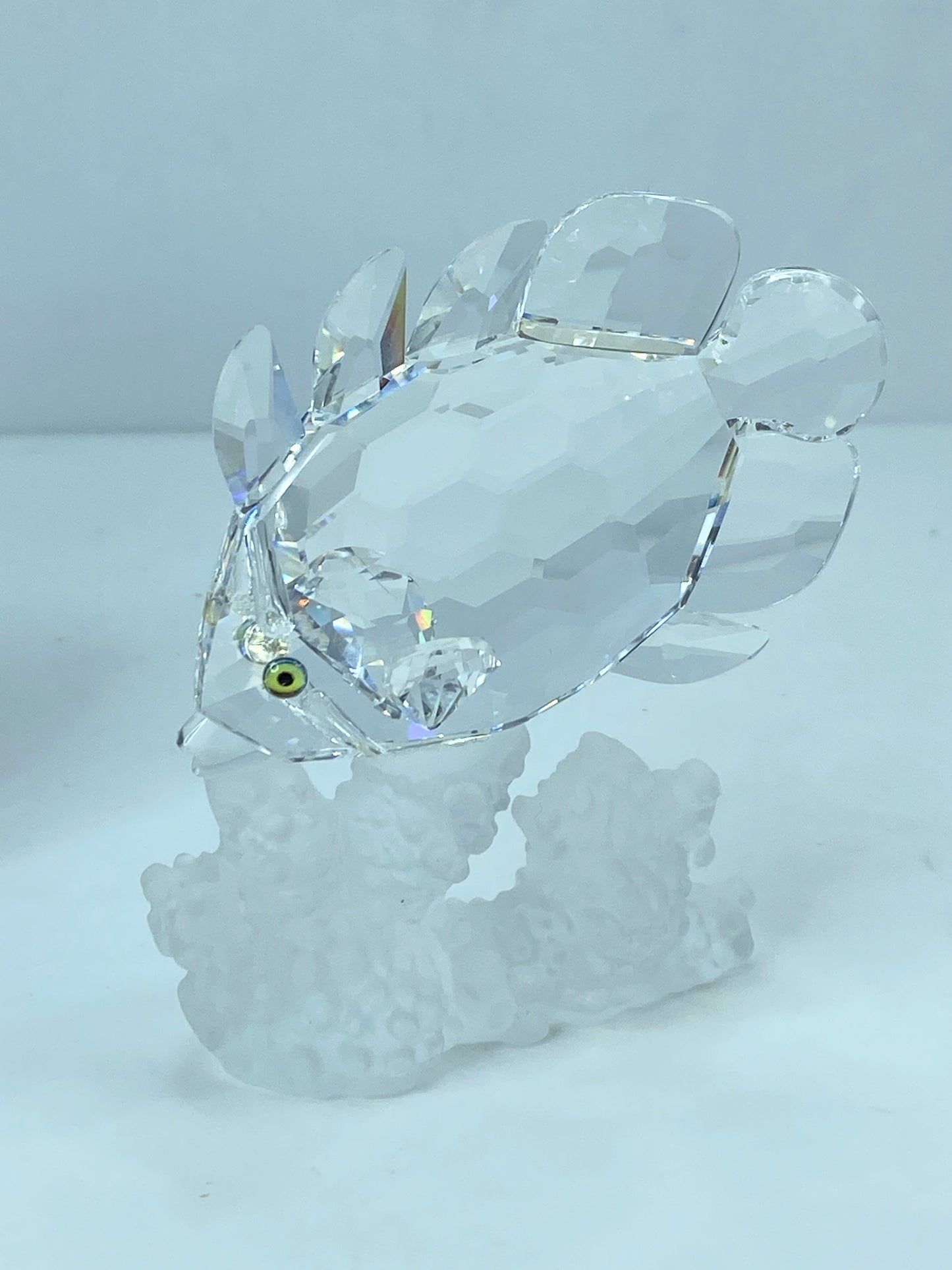 Swarovski Crystal Butterfly Fish 162888 Figurine Mint COA Mirror S112