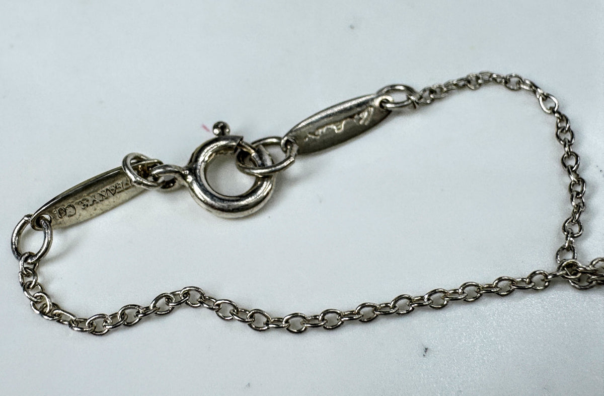 Tiffany & Co Elsa Peretti Color by the Yard Aquamarine Necklace 16.5" 1.4gJR2009