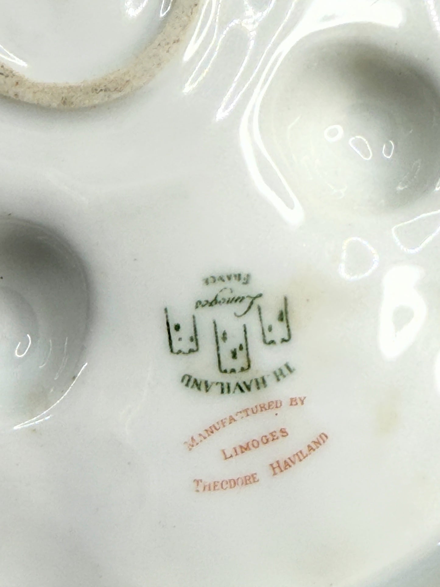 Antique c1890cHaviland Limoges France Oyster Plate Seaweed Design Porcelain A800