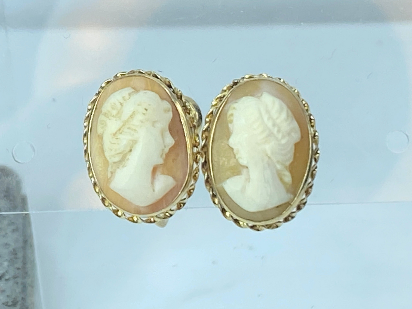 14K gold Large hand carved Shell Cameo screw on earrings