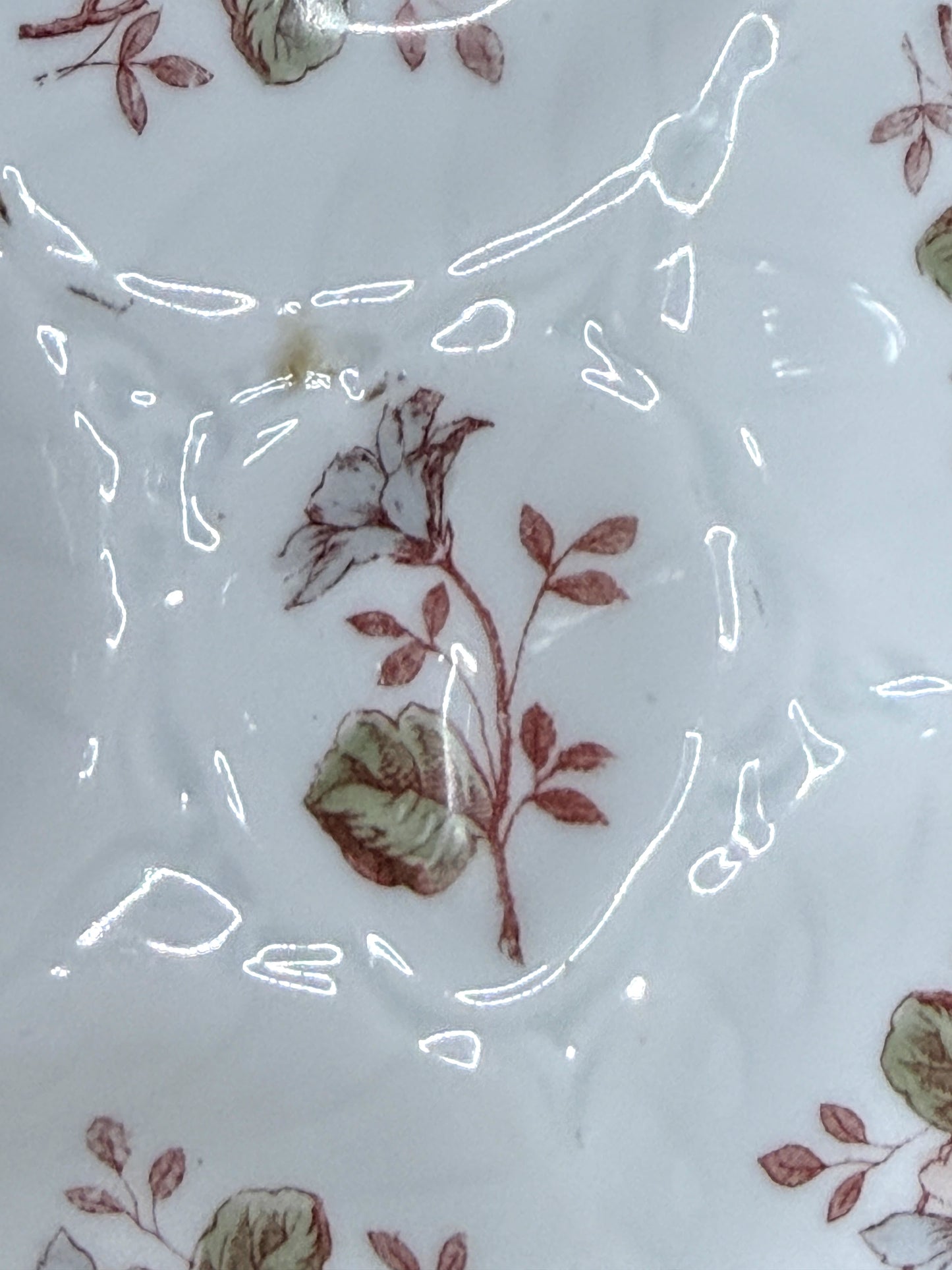 Antique 5 Well Oyster Plate Floral Relief Carlsbad Austria 9.0" A887