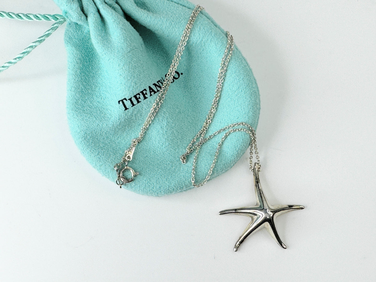 Tiffany & Co. 925 Silver Elsa Peretti Large 28mm Starfish Pendant JR9481