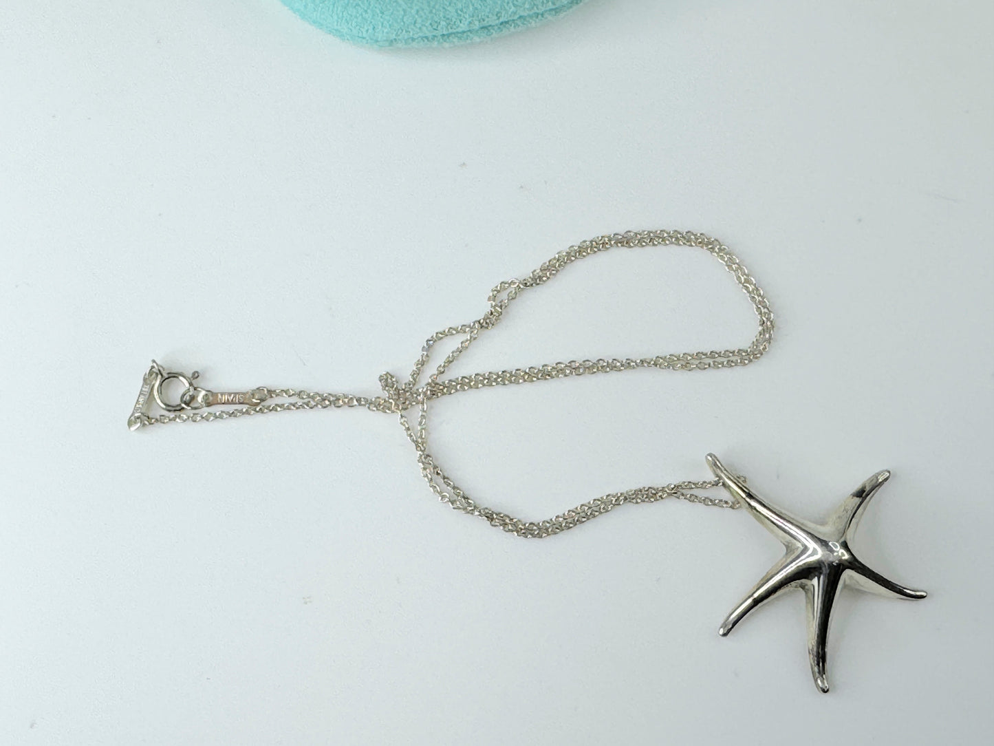 Tiffany & Co. 925 Silver Elsa Peretti Large 28mm Starfish Pendant JR9481