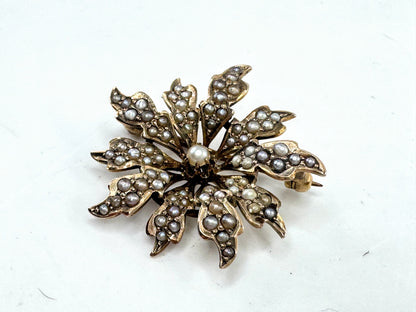 Antique Victorian 10K Gold Seed Pearl Starburst Brooch 1" JR1610