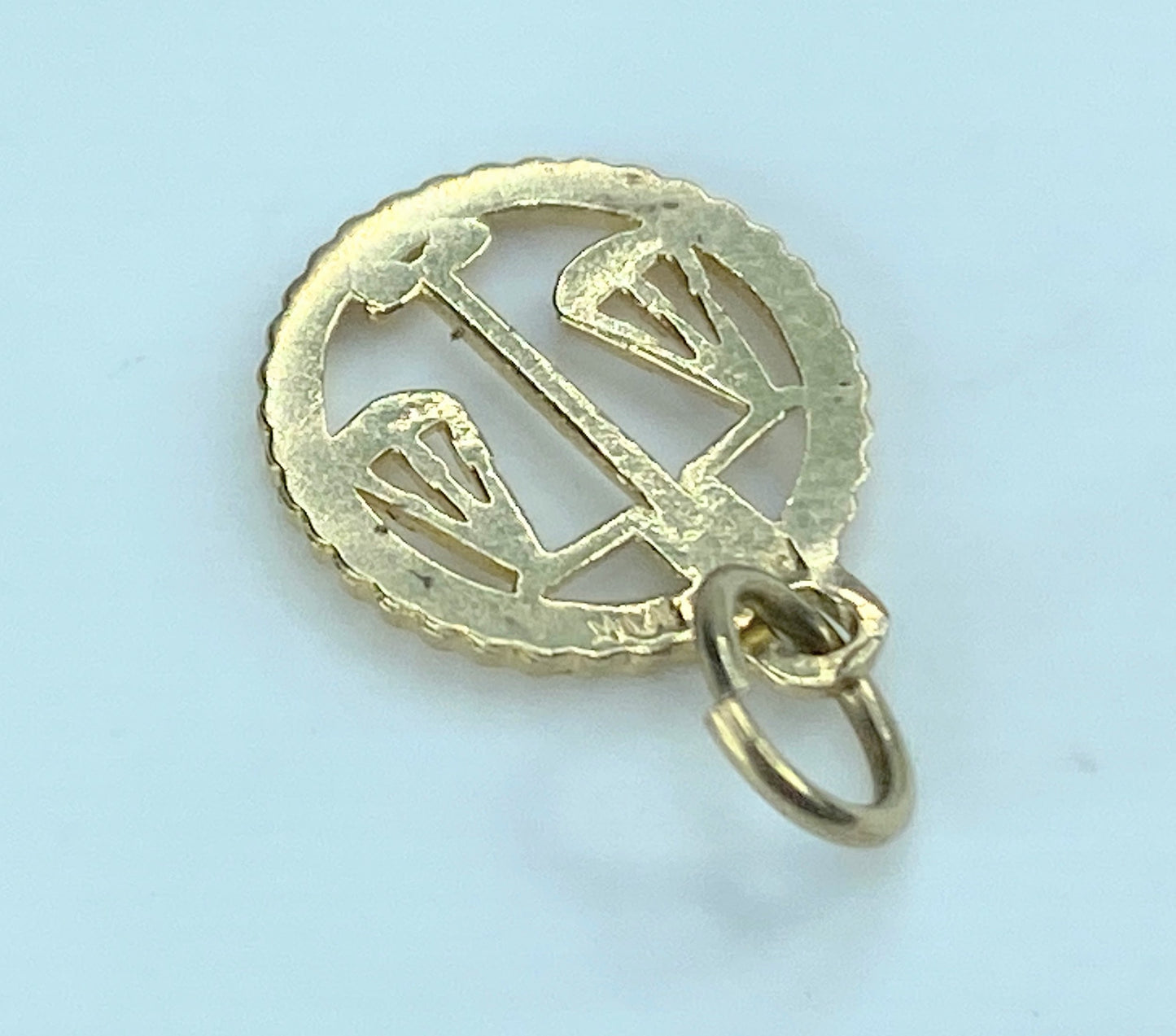 14K yellow gold Zodiac charm pendant 11.5mm JR9353