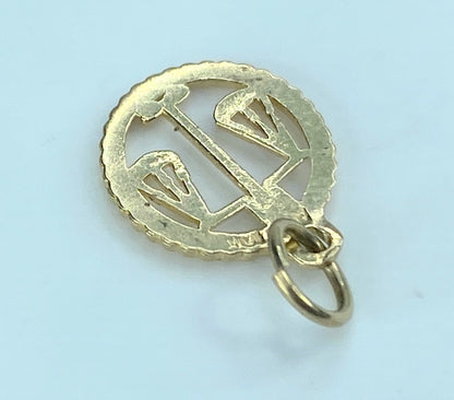 14K yellow gold Zodiac charm pendant 11.5mm JR9353