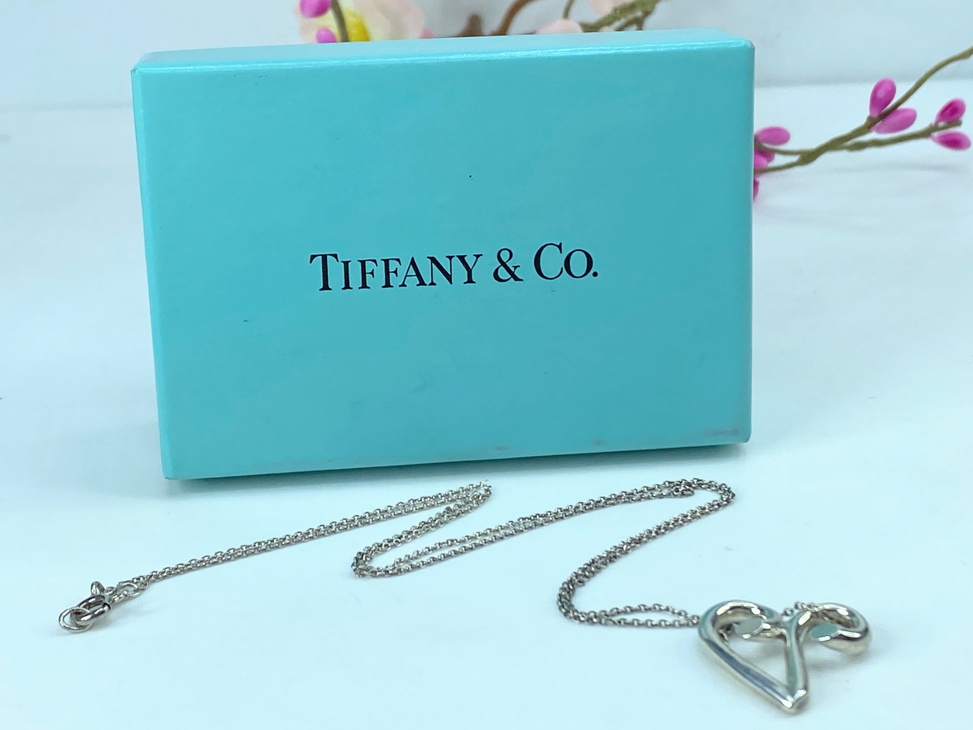 Tiffany & Co. Paloma Picasso Zodiac Aries Necklace Sterling Silver 925 JR332