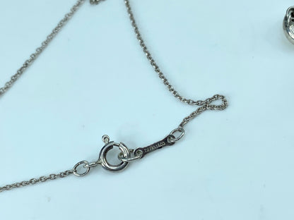 Tiffany & Co. Paloma Picasso Zodiac Aries Necklace Sterling Silver 925 JR332