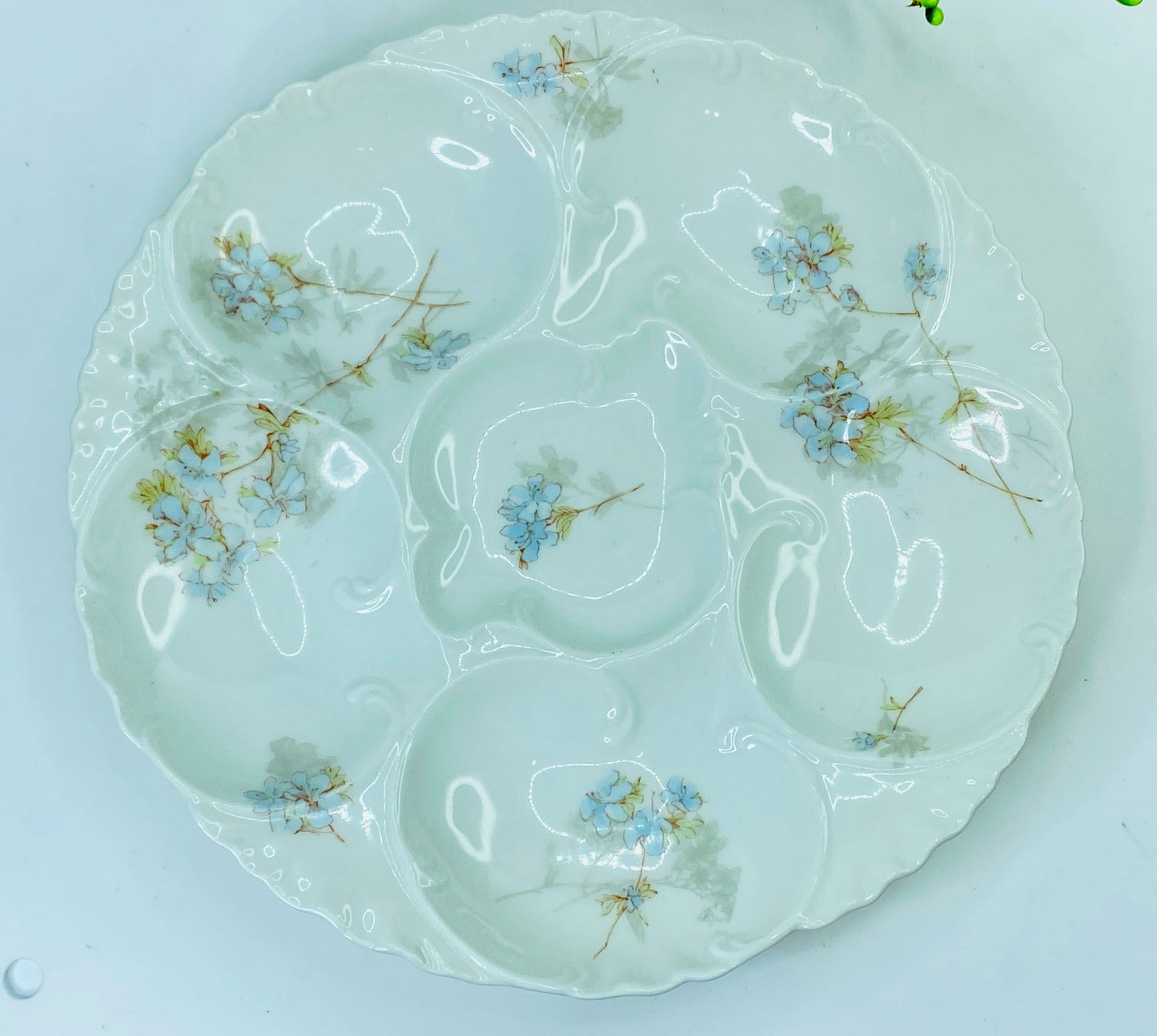 Porcelain Blue Flowers Oyster Plate Limoges, circa 1900 A441