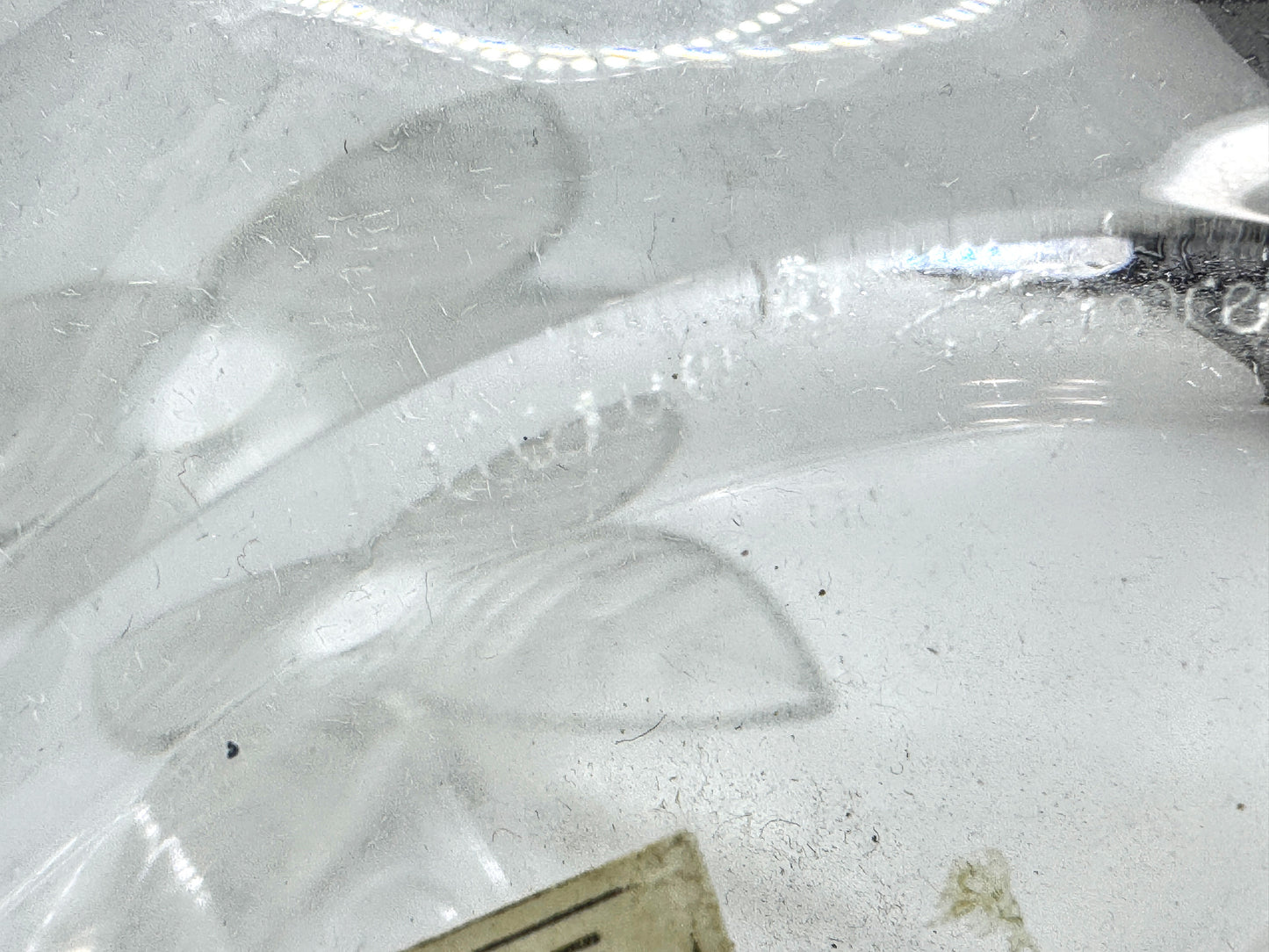 Art GlassVintage Lalique France Frosted Crystal Osumi Leaf Vase mint A984