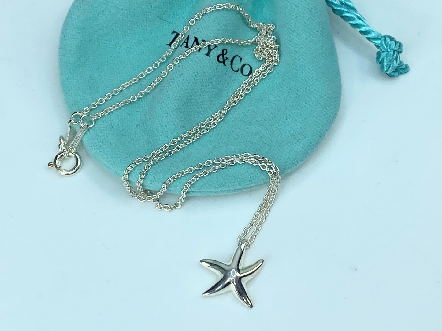 Tiffany & Co. Elsa Peretti Silver small  Starfish Pendant Necklace 16.5" JR9912