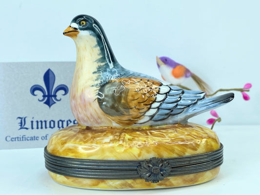 Large Limited Edition Limoges Feather friend Porcelain Pigeon Trinket 3.75" A546