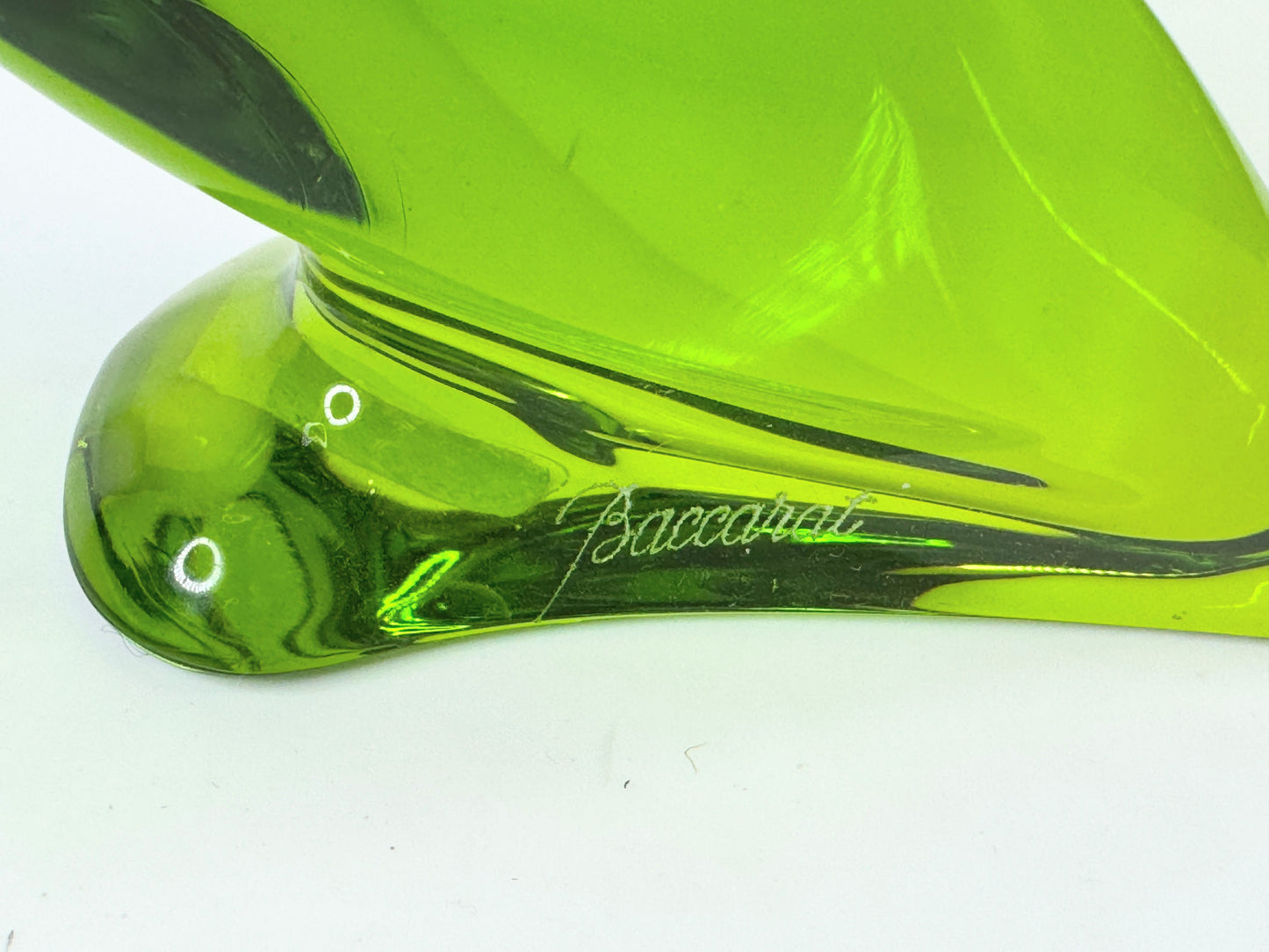 Baccarat Crystal Parrot transparent green hue 4" x 4" mint A507