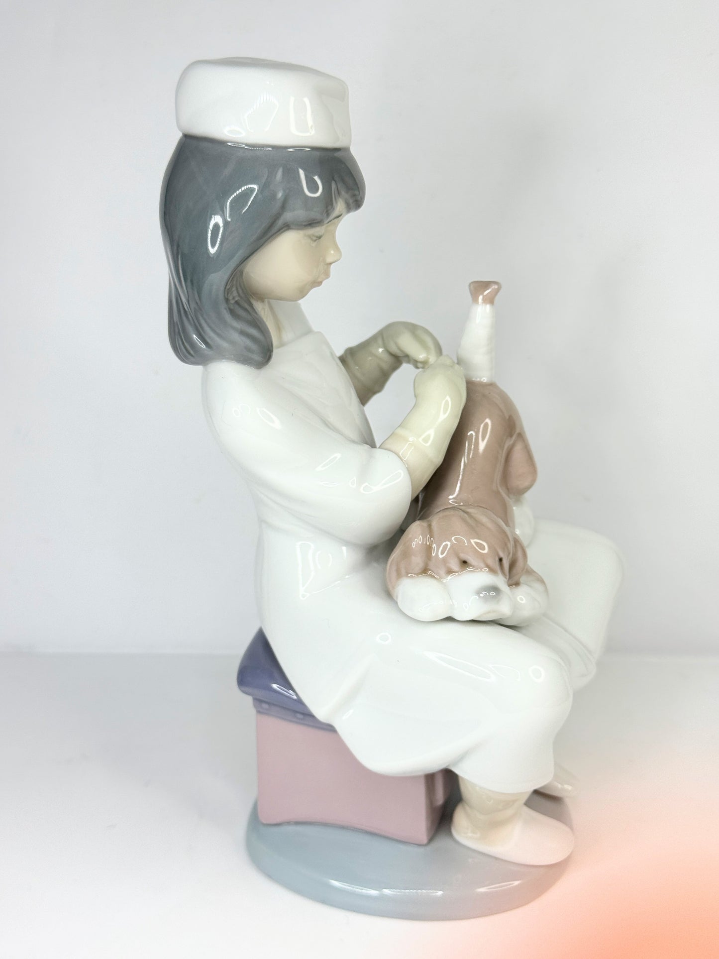 Lladro “Little Veterinarian” Nurse With Her Dog 6348 Porcelain Mint A640