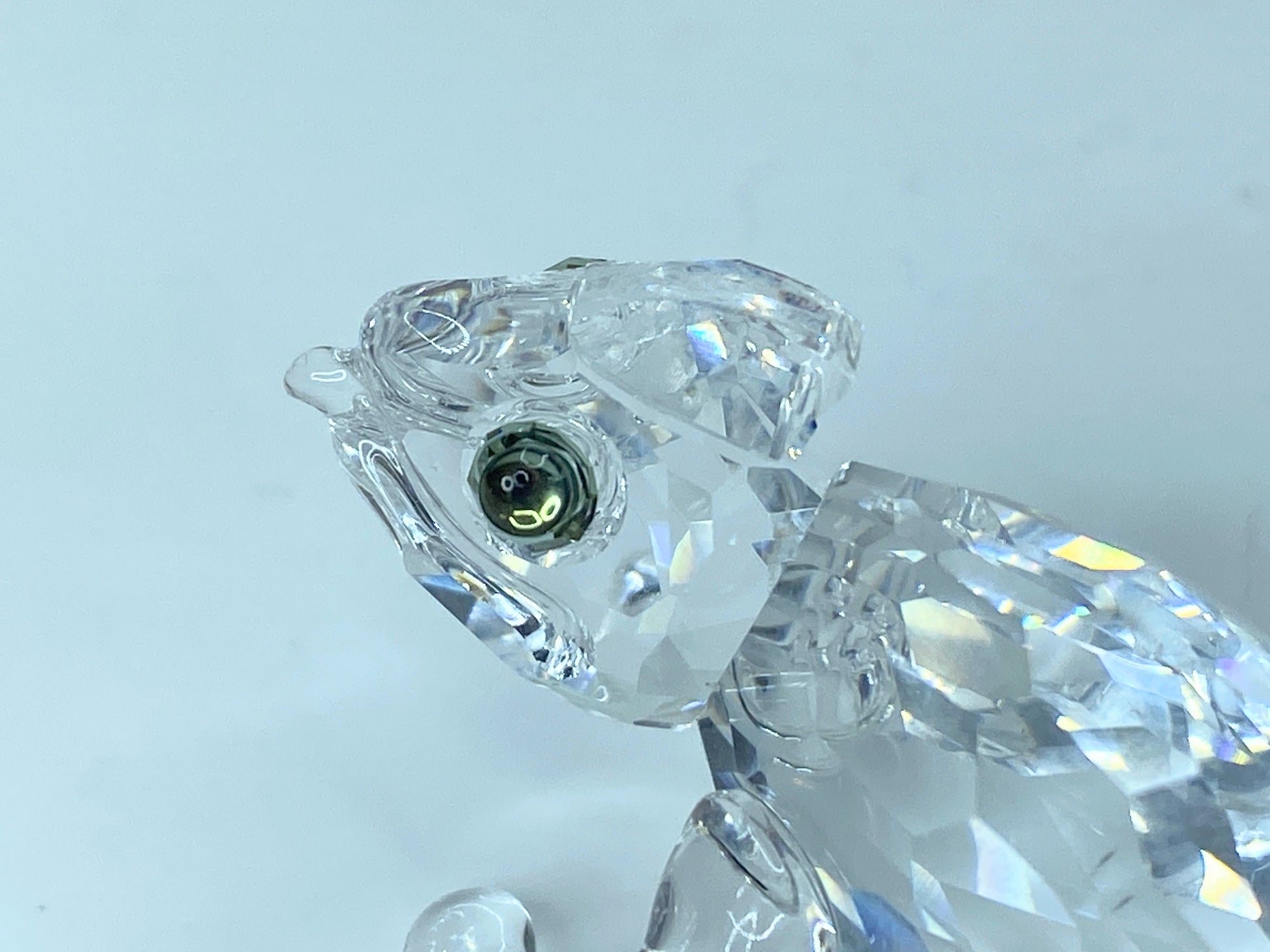 Swarovski chameleon with colour crystal chaton in box S62