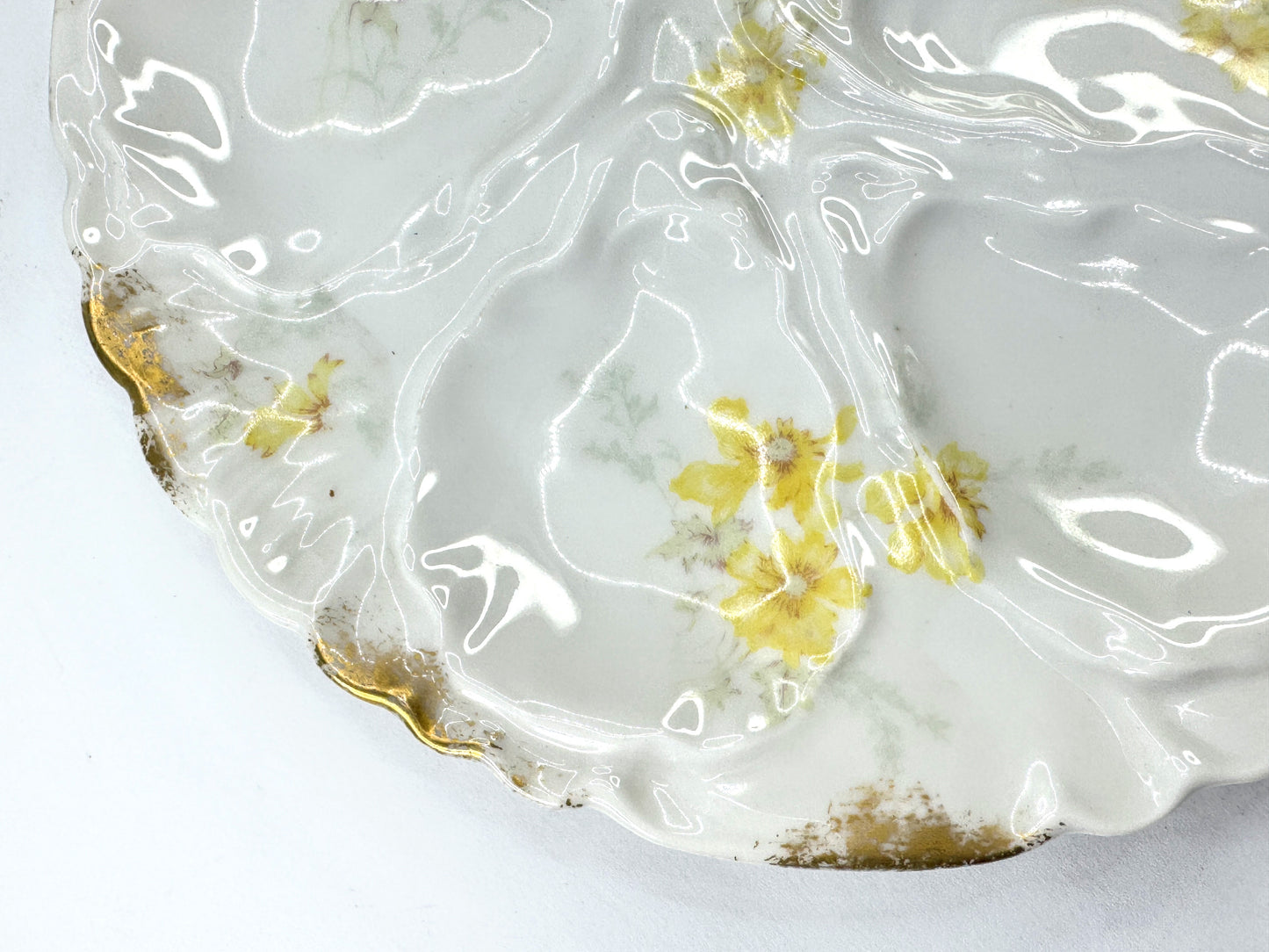 Antique Haviland Limoges 7.5" Oyster Plates Set of 6 w/original box A10986