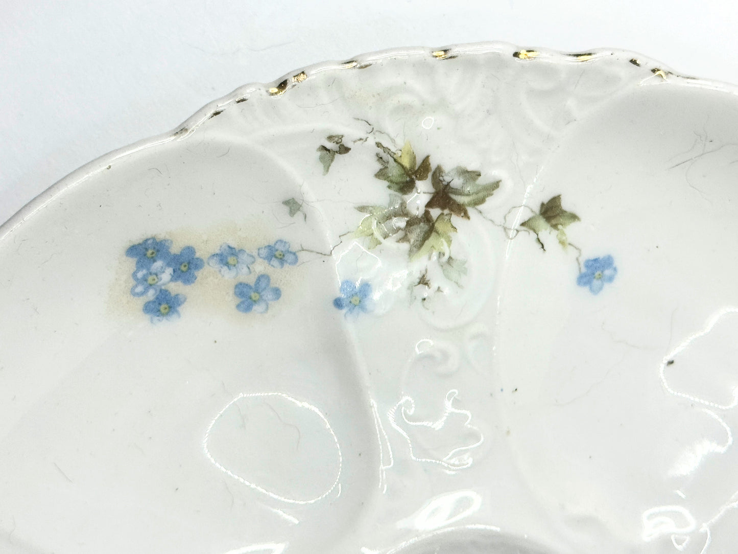 Antique Austria Oyster Plate with "Forget me not" blue flower gold gilt A479