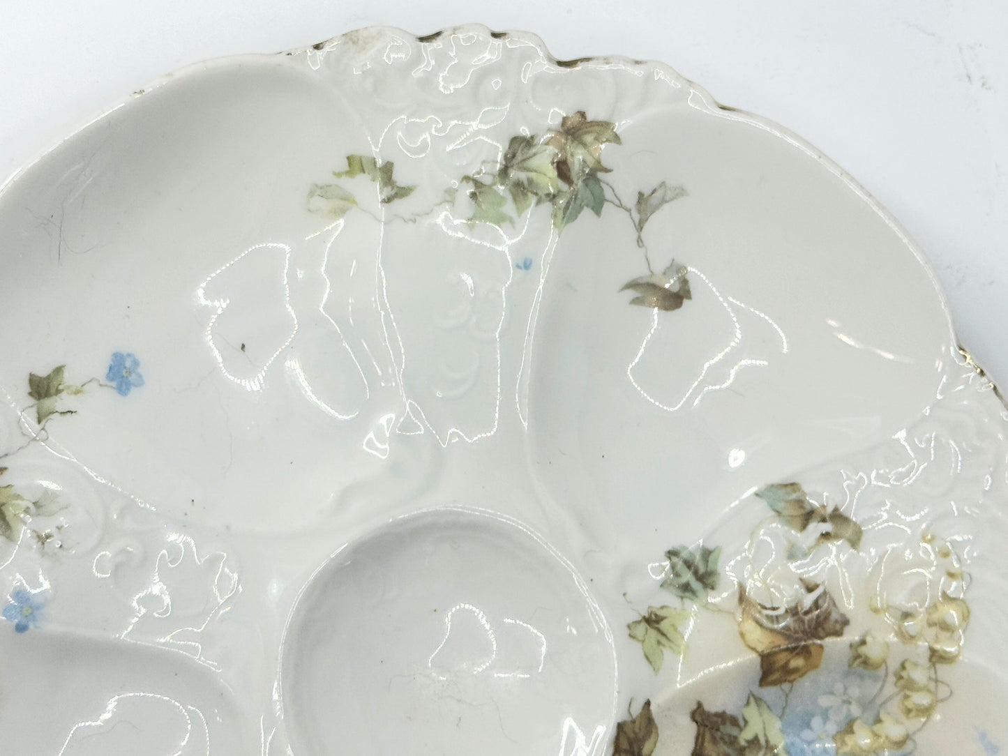 Antique Austria Oyster Plate with "Forget me not" blue flower gold gilt A479