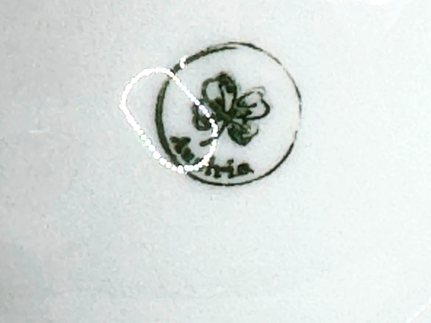 Antique Austria Oyster Plate with "Forget me not" blue flower gold gilt A479