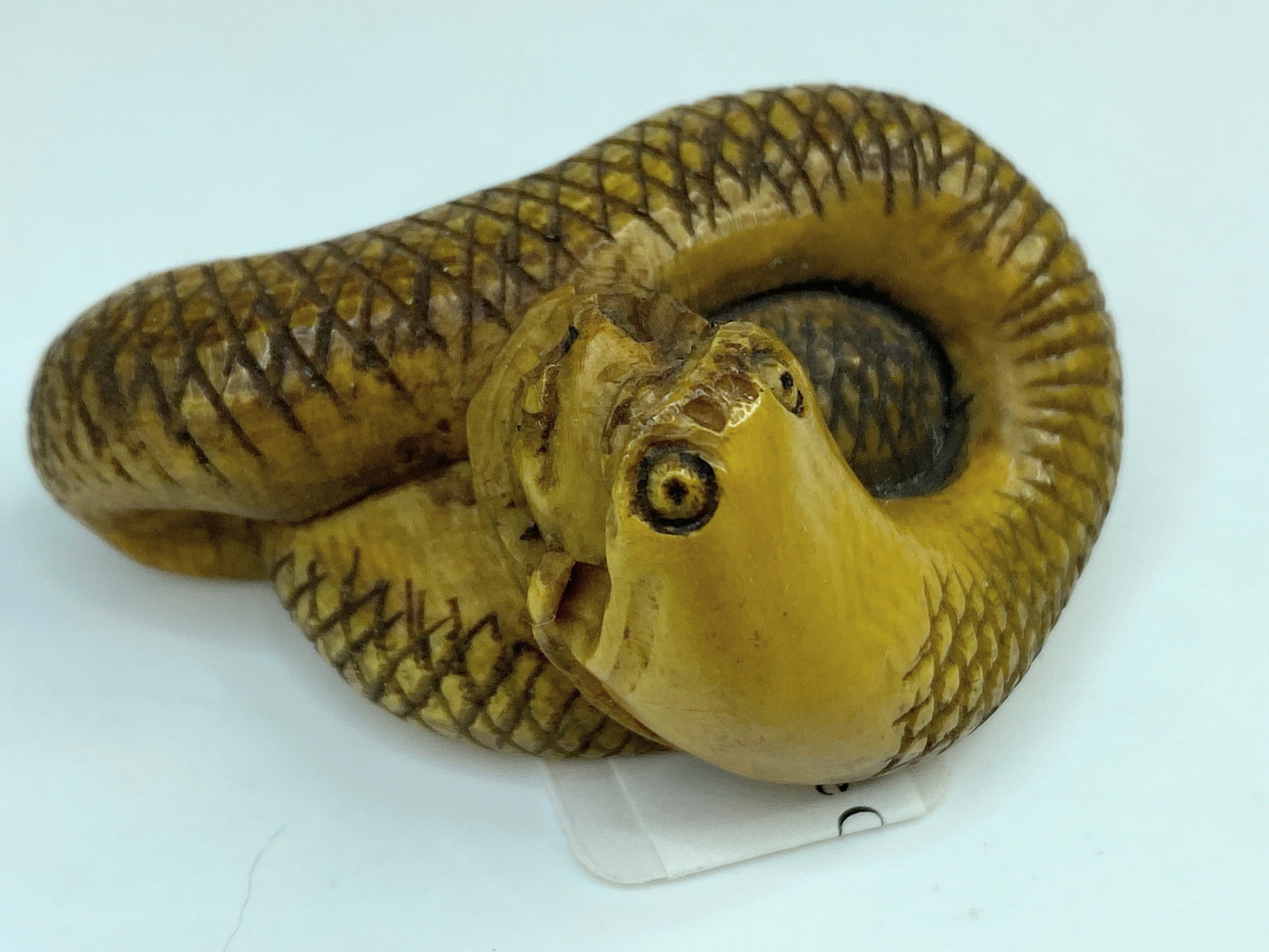 19th century hand carved Resin Snake with a mouse in the mouth Netsuke A588