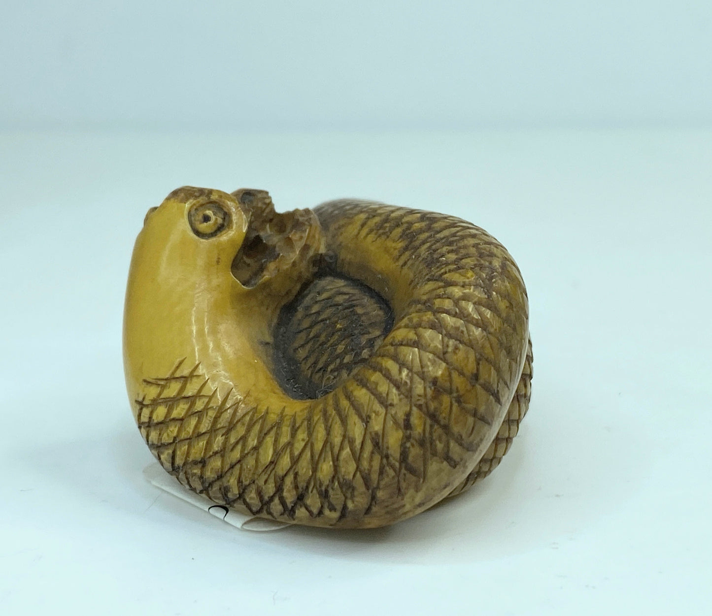 19th century hand carved Resin Snake with a mouse in the mouth Netsuke A588