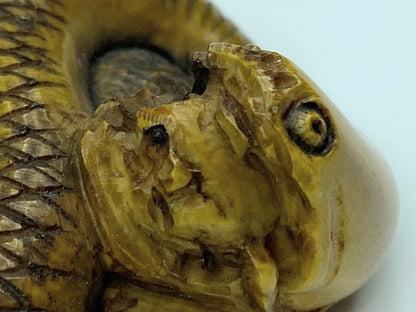 19th century hand carved Resin Snake with a mouse in the mouth Netsuke A588