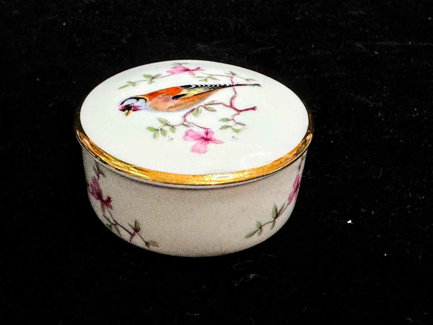 Vintage Limoges Hand Painted Bird Porcelain Trinket Box A1103