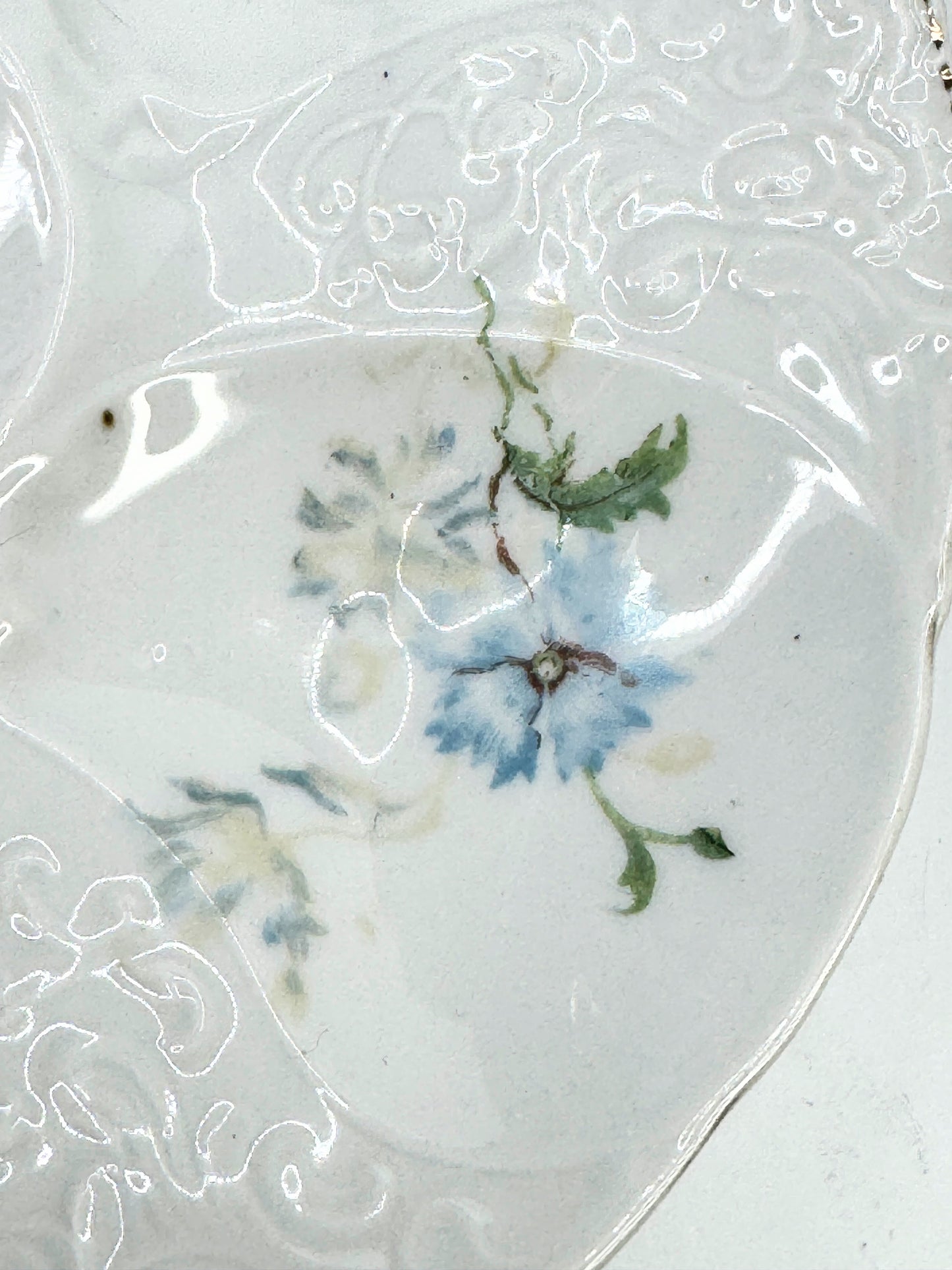 Antique Austria hand painted Blue Delphinium 5 well oyster plate A483