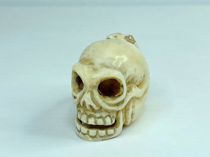 19th C Japanese carved Resin Netsuke Skull and frog signed A591