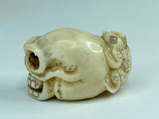 19th C Japanese carved Resin Netsuke Skull and frog signed A591