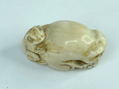 19th C Japanese carved Resin Netsuke Skull and frog signed A591
