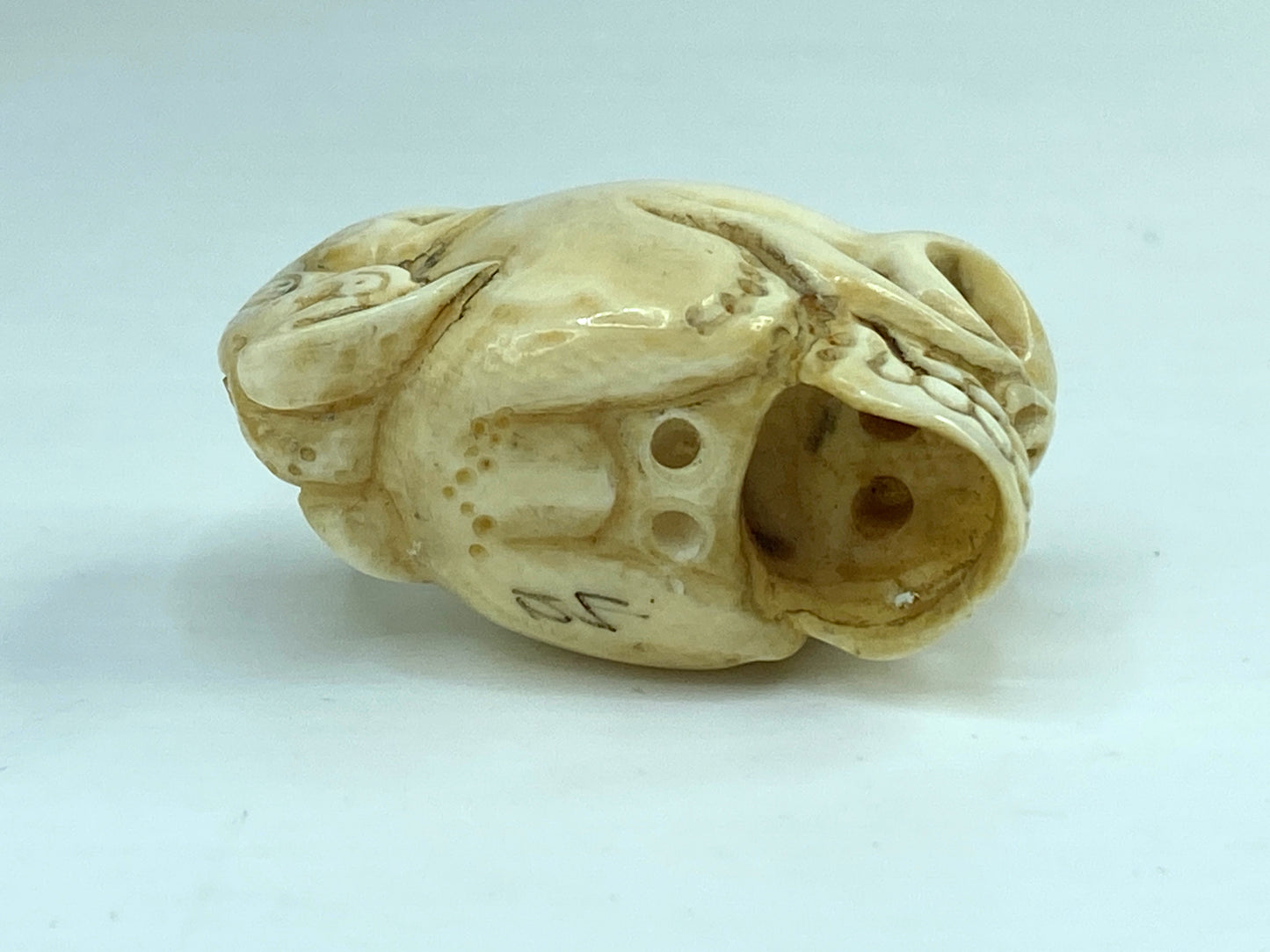 19th C Japanese carved Resin Netsuke Skull and frog signed A591