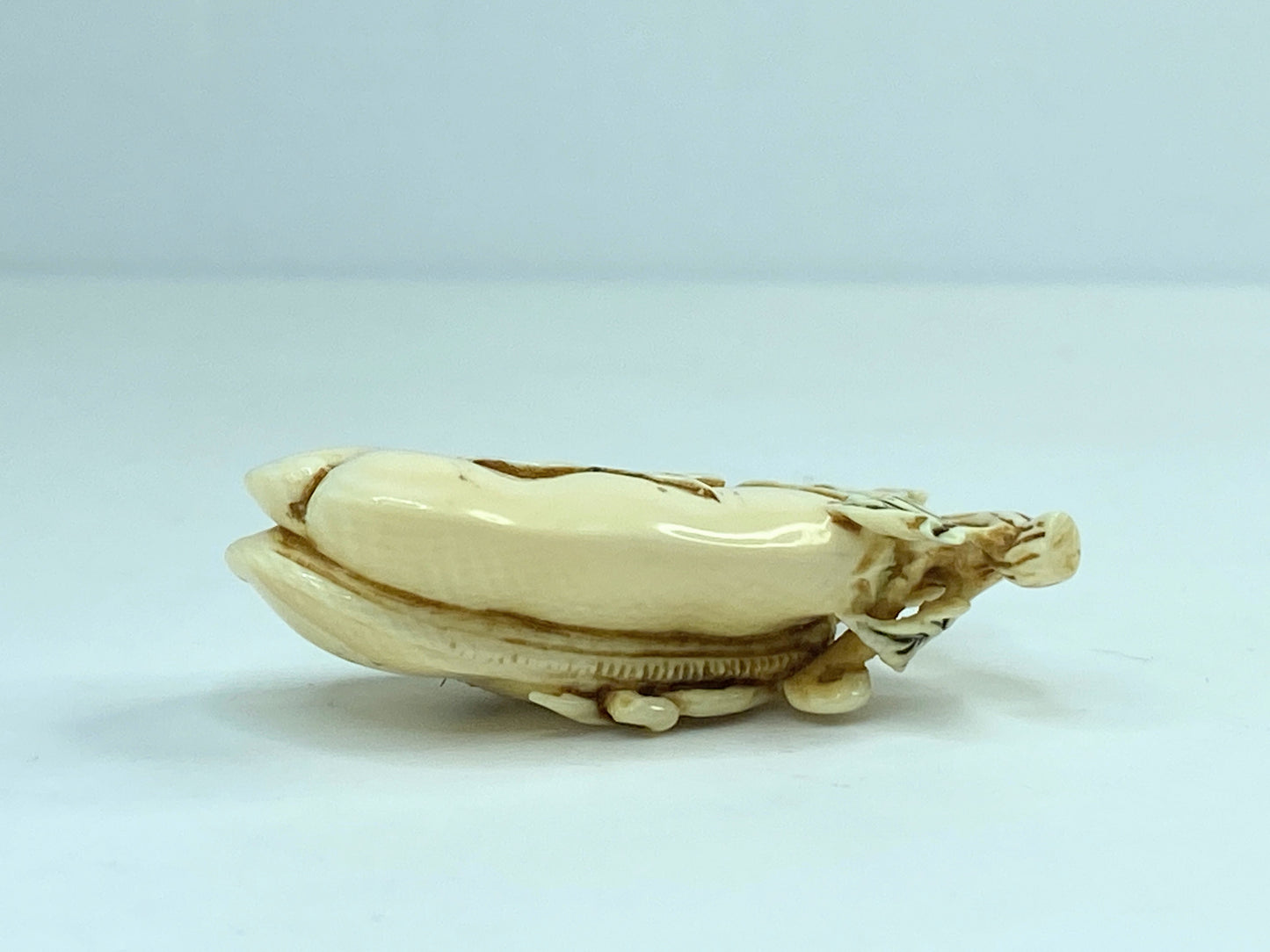 Vintage Japanese carved Resin Netsuke vegetable squash plant on vine A592