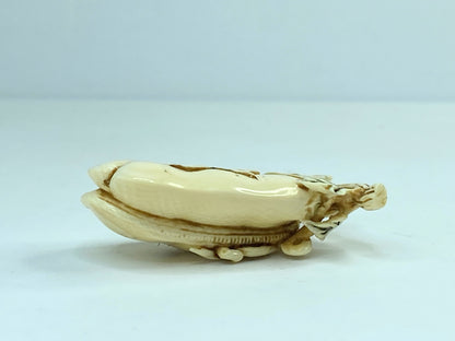 Vintage Japanese carved Resin Netsuke vegetable squash plant on vine A592