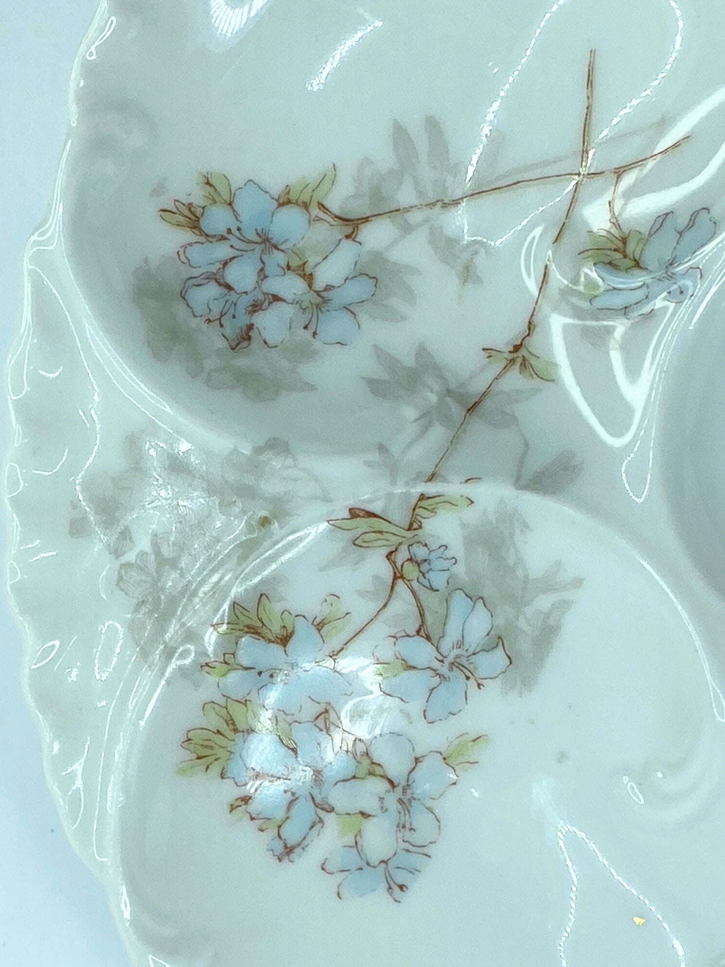 Haviland Limoges Antique hand-painted Forget Me Not floral oyster plate A601