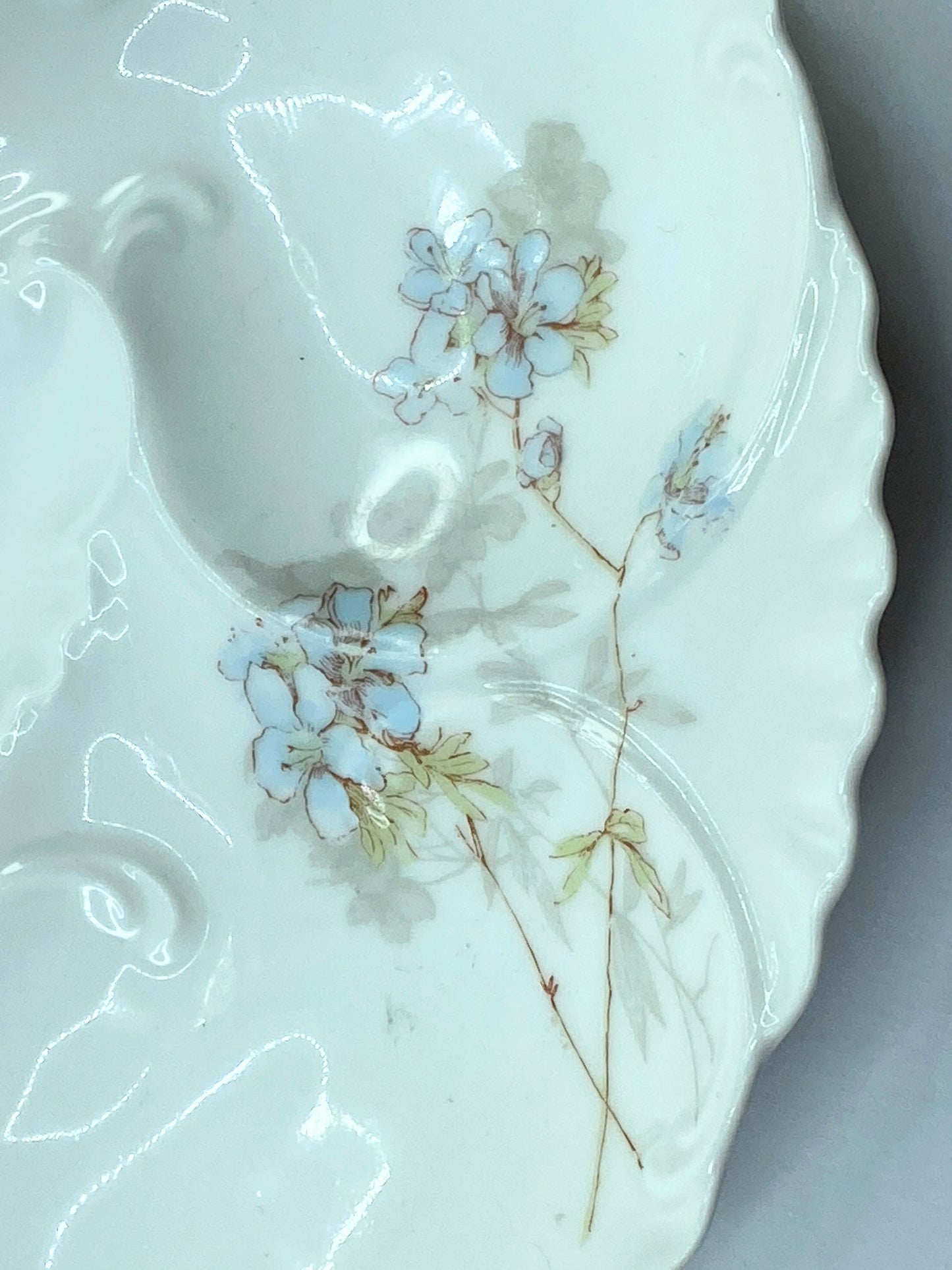 Haviland Limoges Antique hand-painted Forget Me Not floral oyster plate A601