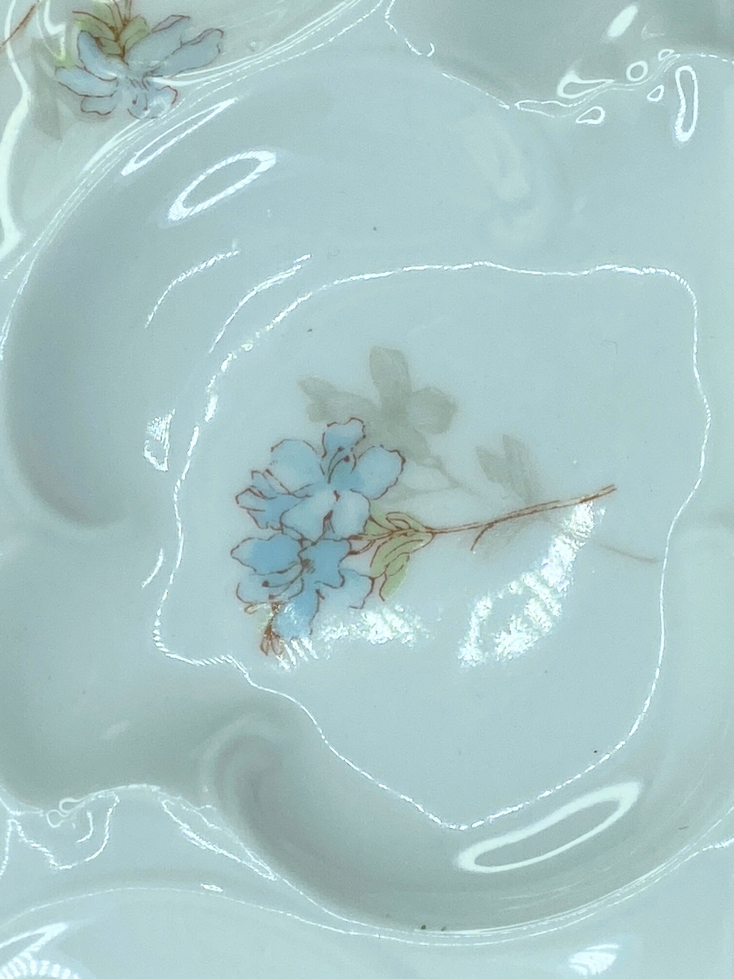 Haviland Limoges Antique hand-painted Forget Me Not floral oyster plate A601