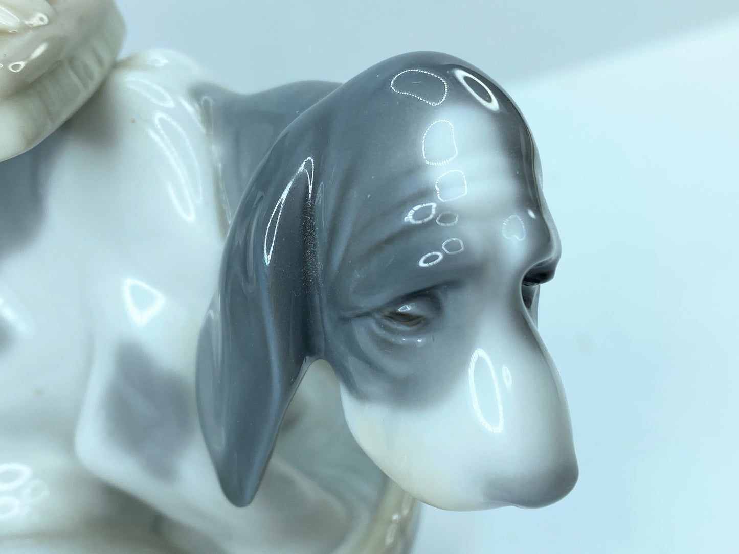 Lladro 5455 Bashful Bather Dog Glazed Figurine Girl bathing pet dog puppy A609
