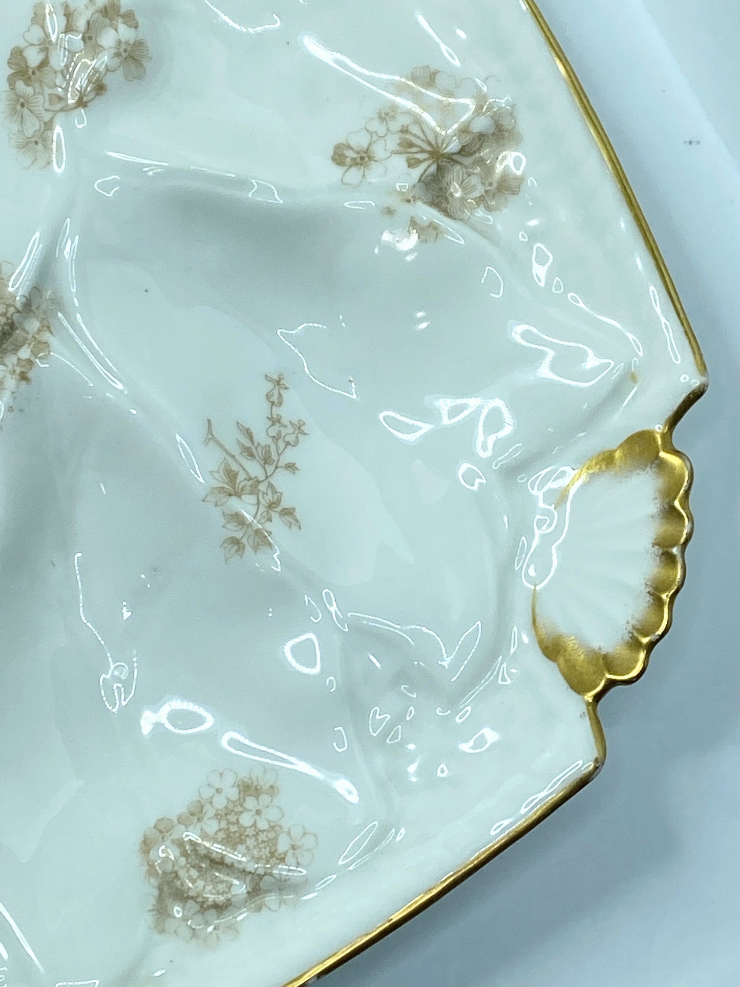 Limoges T.V botanical sprays soft gold scalloped shell corner oyster plate A619