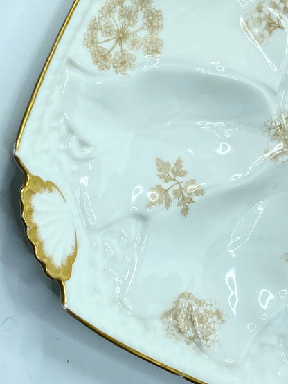 Limoges T.V botanical sprays soft gold scalloped shell corner oyster plate A619