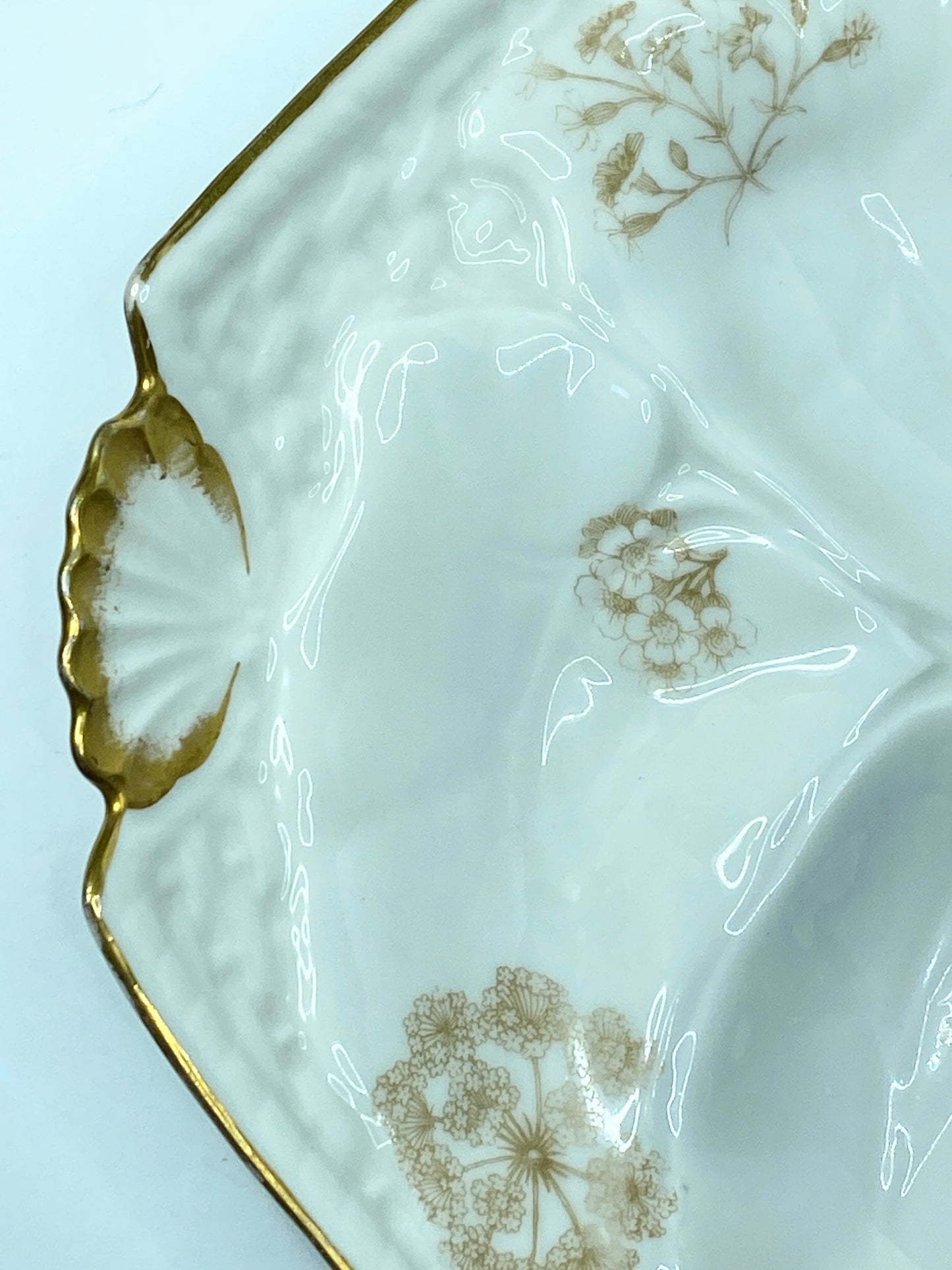 Limoges T.V botanical sprays soft gold scalloped shell corner oyster plate A619