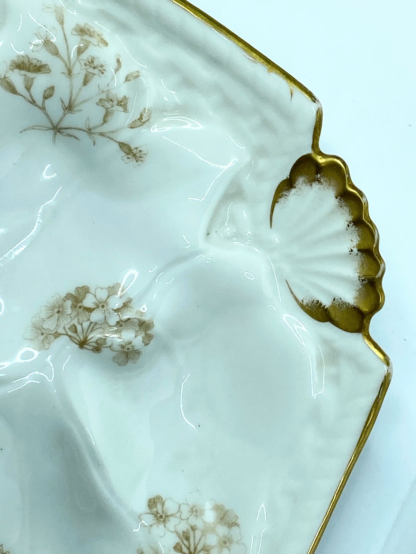 Limoges T.V botanical sprays soft gold scalloped shell corner oyster plate A619