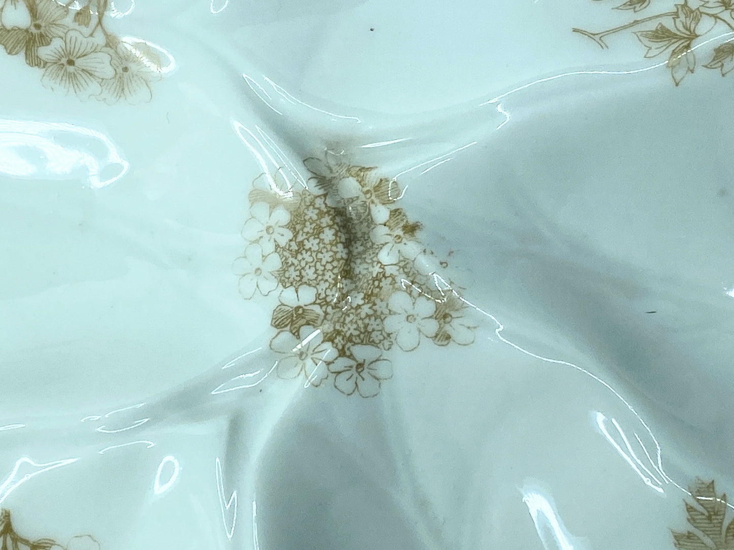 Limoges T.V botanical sprays soft gold scalloped shell corner oyster plate A619