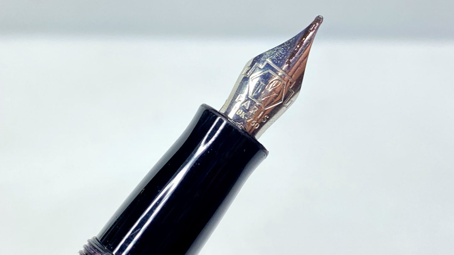 Waterman Charleston Black Resin Fountain Pen Screw-On Cap Gold Trim France SS142