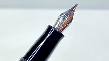 Waterman Charleston Black Resin Fountain Pen Screw-On Cap Gold Trim France SS142