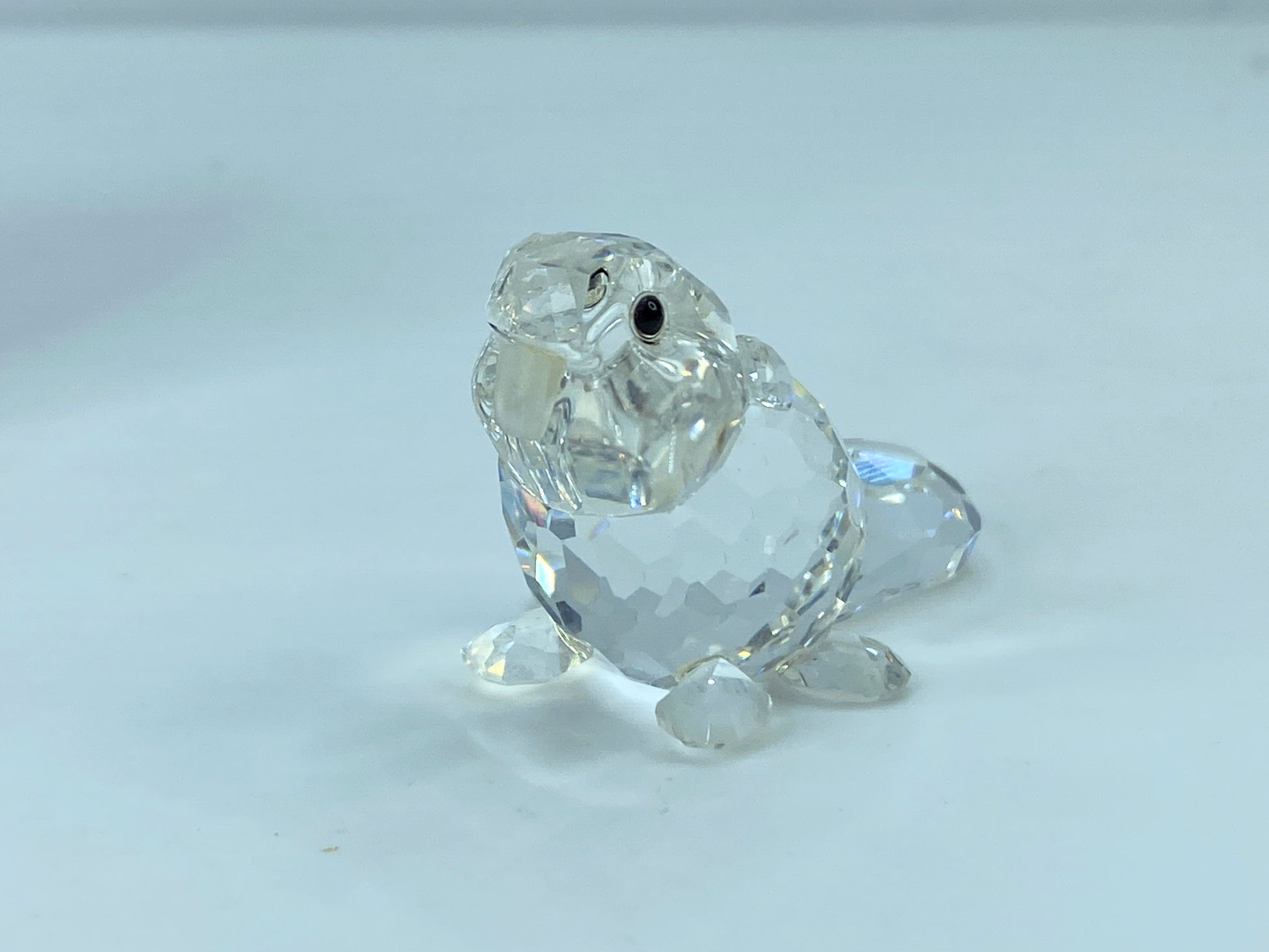Swarovski Crystal Figurine Baby Beaver Sitting # 7616 Mint Mirror COA S110