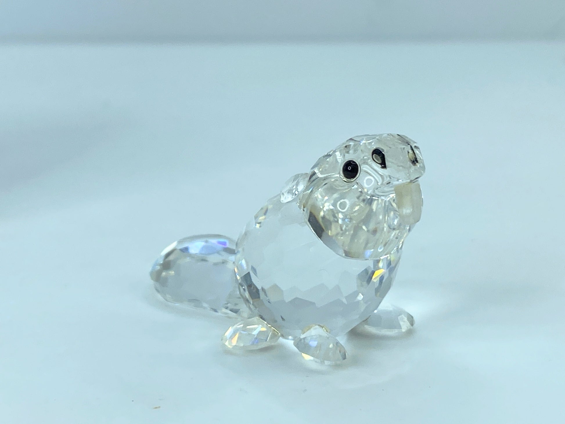 Swarovski Crystal Figurine Baby Beaver Sitting # 7616 Mint Mirror COA S110
