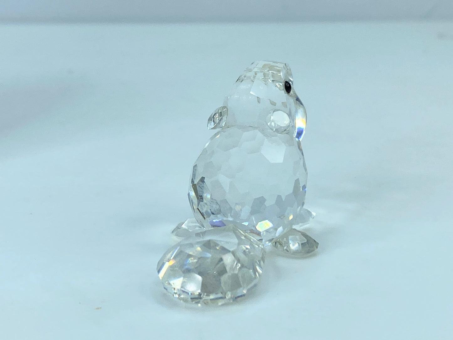 Swarovski Crystal Figurine Baby Beaver Sitting # 7616 Mint Mirror COA S110